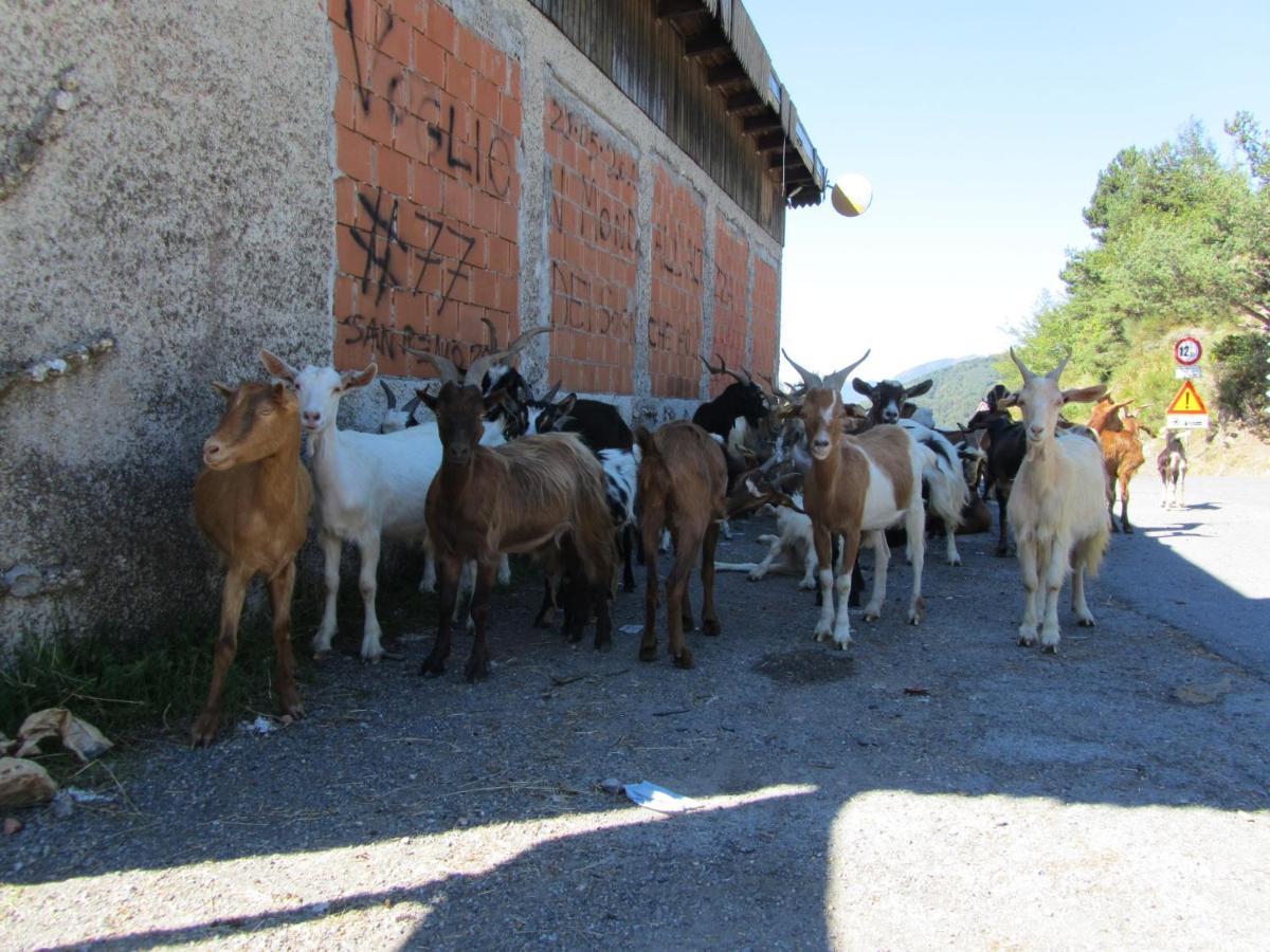 Nostro Rifugio Apricale Exterior foto