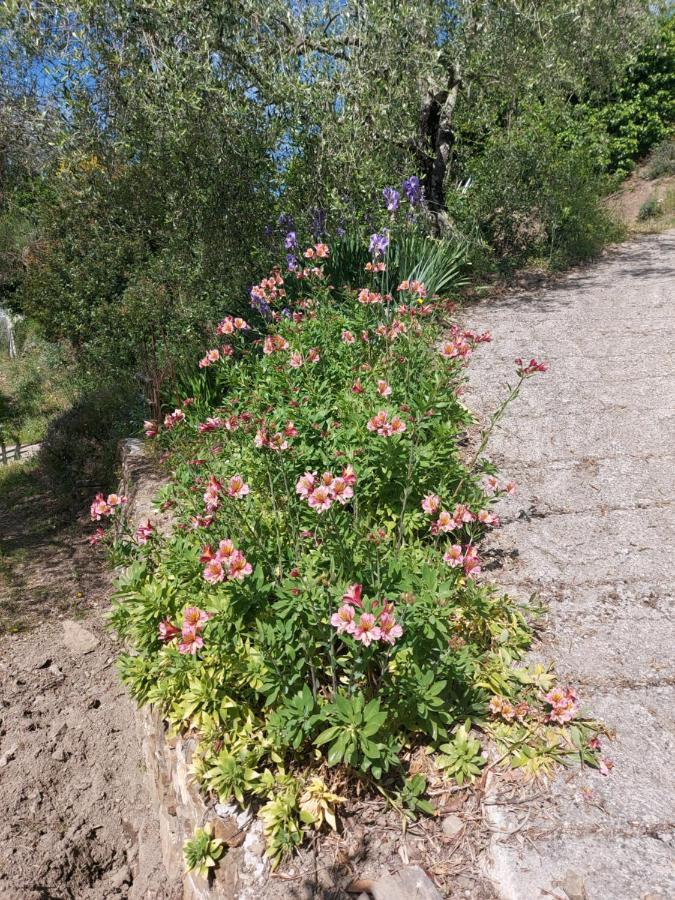 Nostro Rifugio Apricale Exterior foto