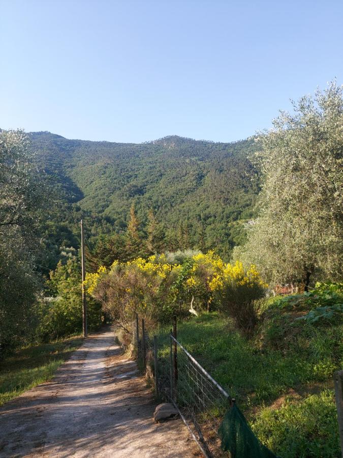 Nostro Rifugio Apricale Exterior foto